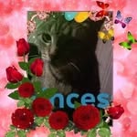 Jenny Haney - @jenny.haney.9484 - Instagram