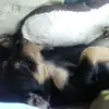 Jenny Haney/NENE love - @jennyhaney - TikTok
