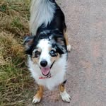 Jenny Hare - @jenny.hare.73 - Instagram