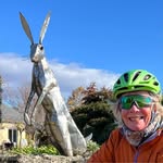 Jenny Hare - @jennyhare.kiwi - Instagram
