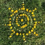 Jenny Harrison - @jennyharrison_coaching - Instagram