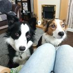 Jenny Harrison - @jenny.harrison.524 - Instagram