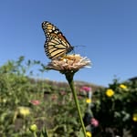 Jenny Hedrick - @jenhed1 - Instagram
