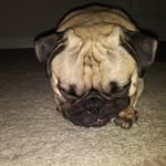 Jenny Hedrick - @givefromtheheart07 - Instagram