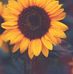 Jennifer Hester - Facebook