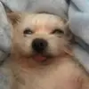 Jenny Hopper - @jenlee4549 - TikTok