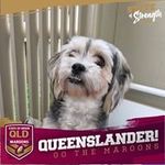 Jenny Howes - @howes5234 - Instagram