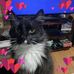 Jenny Howes - Facebook