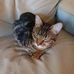 Jenny Hubbard - Facebook