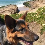 Jenny Hubbard - @jennyhubbard - Instagram