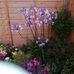 Jenny Hubbard - Facebook