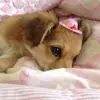 Jenny Hubbard - @jennyhubbard - TikTok