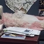 Jenny Huffman - @granniej48 - Instagram