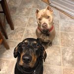 Jenny Iverson - @jiverson7882 - Instagram