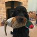 Jenny Ives - Facebook
