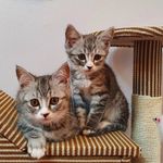 제니&제티 육묘일기 - @jenny.jetty - Instagram