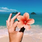 Jenny Karr - @jenny.karr.58 - Instagram