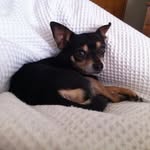 Jenny Kaspar - @jenny.kasper.357 - Instagram