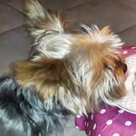 _Jenny.Kats_ - @_jenny.kats_ - Instagram