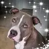 Jenny Kaufman - @jennykaufman2 - TikTok