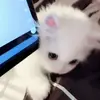 jennykeith_ - @jennykeith_ - TikTok
