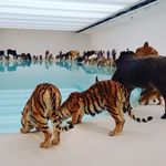 Jenny Keller - @waterwonderland - Instagram