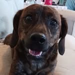 Jenn Keyser - @kzoo_fifi - Instagram