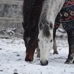 Jenny Lackey - @jaleventer - Instagram