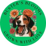 Jenny Laughlin - @bustersblooms - Instagram