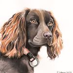 Pet Portrait Artist - @jennylaws.petportraits - Instagram