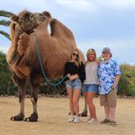 Jenny Lowery - @jennylowery79 - Instagram