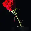 jenny lucy383 - @jennyluccy - TikTok