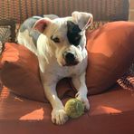 Jenny Macrae - Facebook