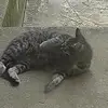 Jenny L Manley - @jenny.l.manley - TikTok