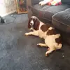 jennymansfield0 - @jennymansfield0 - TikTok