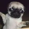 Jenny mark - @jenny.mark62 - TikTok