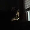 Jenny_mcghee - @shadykay03 - TikTok