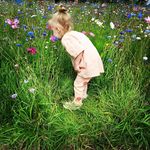 Jenny McGill - @jenny.mcgill.796 - Instagram