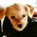 Jenny McLellan - Facebook