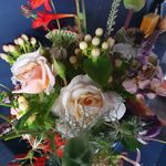 Jenny Irvine/Urban Meadows - @jennyurbanmeadows - Instagram