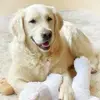 jennymeeks69 - @jennymeeks69 - TikTok