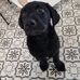 Jenny Monk - Facebook