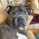 Jenny Morrell - @jenny.morrell.754 - Instagram