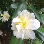 Jenny Mountford - @jenny.mountford - Instagram