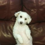 Jennifer - @jennynagy2006 - Instagram