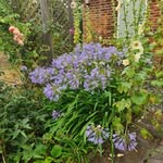 Jenny Newell - @jenny.newell.62 - Instagram