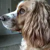 jennynewell262 - @jennynewell262 - TikTok