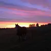 jennynewell81 - @jennynewell81 - TikTok