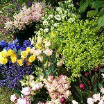 Jenny Oakley - @wildandchicflowers - Instagram