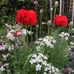 Jenny Oakley - Facebook